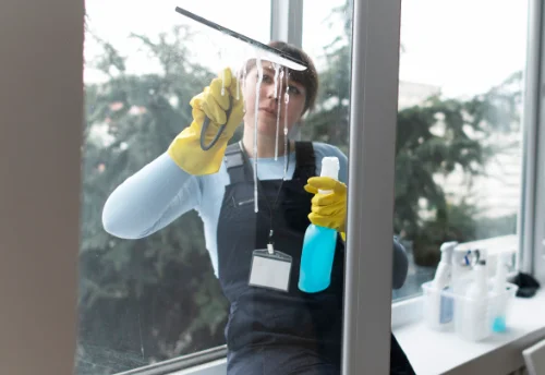 Nettoyage de vitres intérieures et extérieures à Ayron